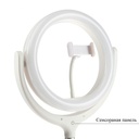 Phone Tripod with 26cm Ring Lamp InnoZone Ring Light Kit F539B