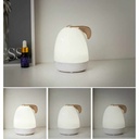 LAZY RABBIT FRAGRANCE LAMP - GXZ-KX101
