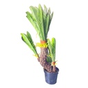 Artificial | Cycas |  Plant Tree For Home Decoration For Indoors & Outdoors Use