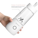 Vitamer Portable Mini Electric Juice Blender Bottle Rechargeable Fruit Squeezer