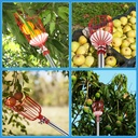 Fruit Picker Tool Lightweight Stainless Steel Adjustable Fruit Picker with Big Basket