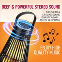 Portable Outdoor 5W Type C Charging Port LED Flickering Flame Torch Wireless Speaker with Pole and Ground Stake | MX-OS022 |