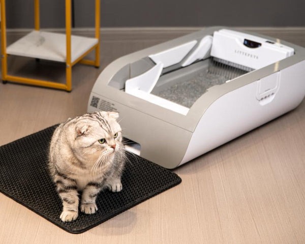 Hush Paws Automatic Self-Cleaning Cat Litter Box Button Version | MA1-11/12-PRO |