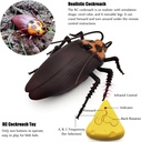 A&T TOY Mini RC Cockroach Toy – Realistic Remote Control Insect for Kids & Pets, Battery Included | A&T-43825 |