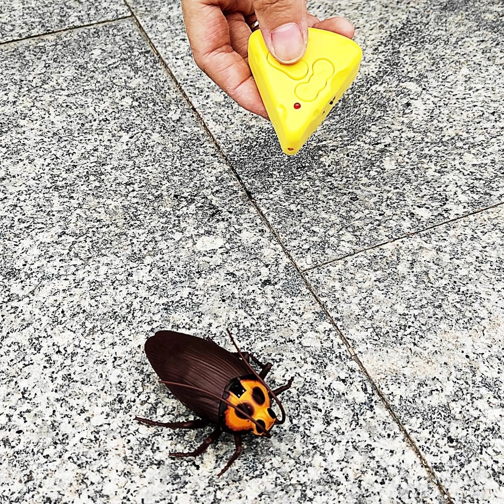 A&T TOY Mini RC Cockroach Toy – Realistic Remote Control Insect for Kids & Pets, Battery Included | A&T-43825 |