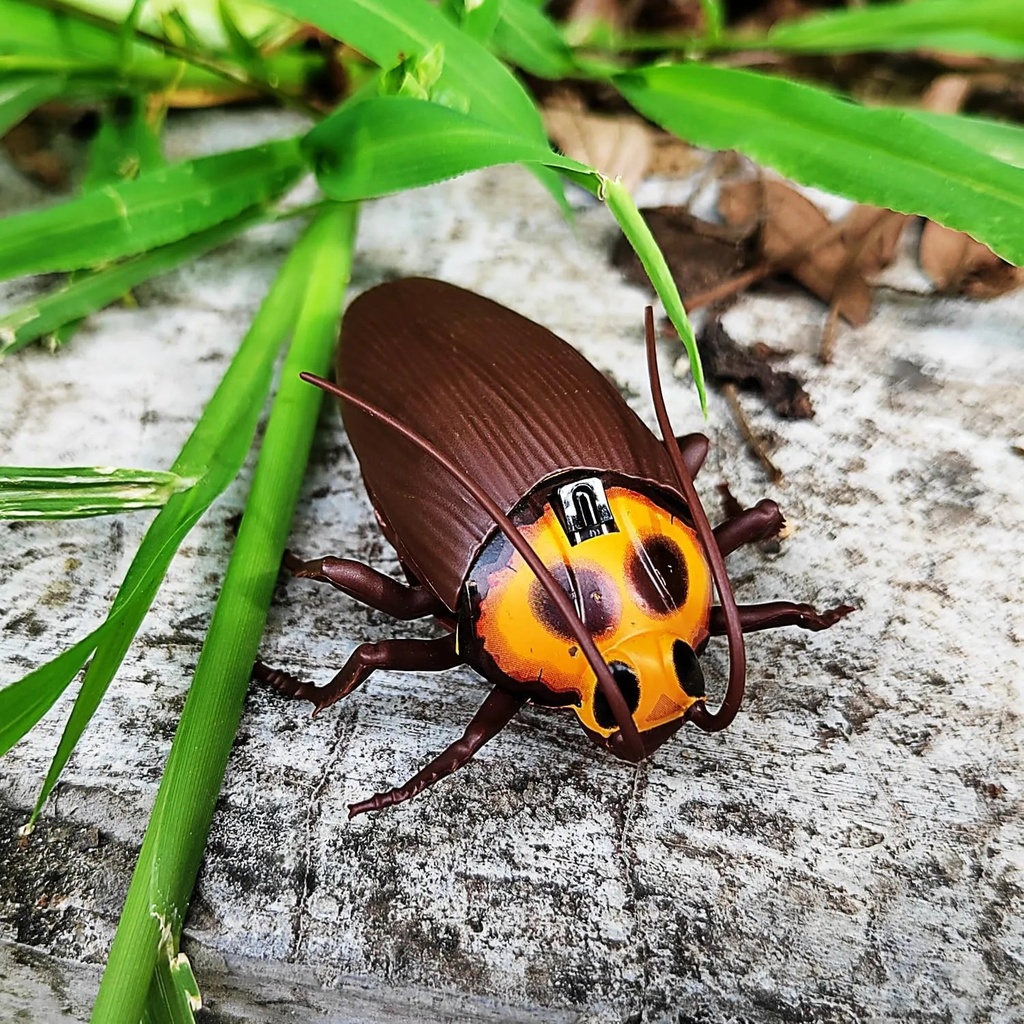 A&T TOY Mini RC Cockroach Toy – Realistic Remote Control Insect for Kids & Pets, Battery Included | A&T-43825 |