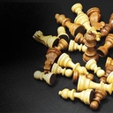 Chessnut Air+ Electronic Chess Set – Full Wooden Smart Chessboard with LEDs, Adaptive AI & Online Play | CA101 |