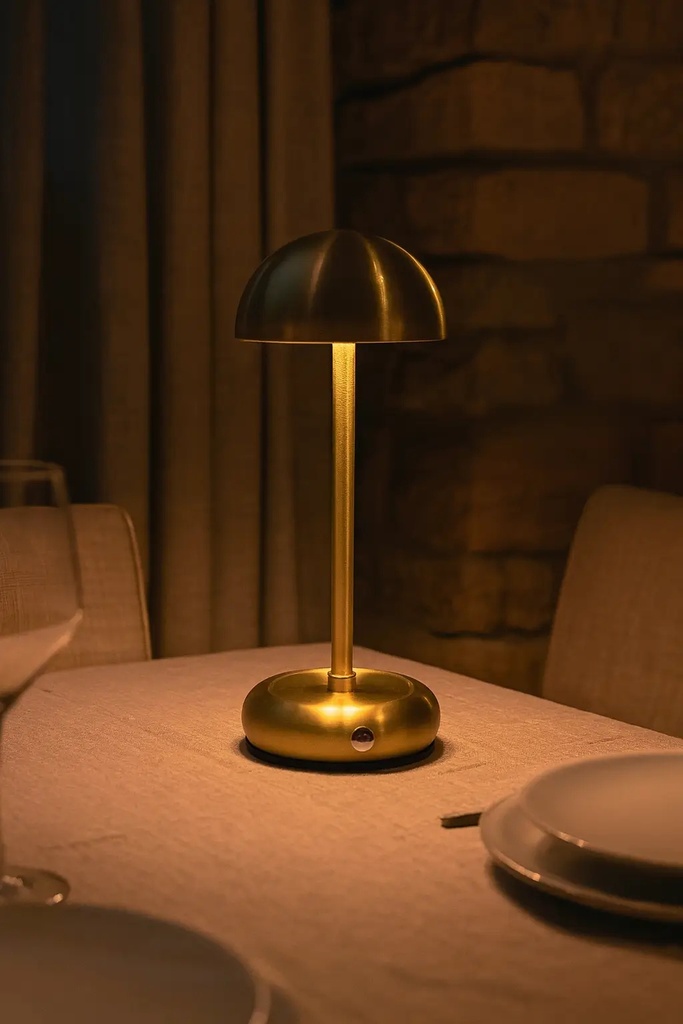 7MD LED Desk Lamp – Touch Control, 3 Light Modes, Rechargeable USB-C Table Lamp | 7MD52025 |
