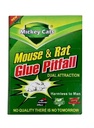مصدّة الغراء القوية Mickey Cats Mouse and Rats لصيد الفئران والجرذان - صديقة للبيئة وفعّالة |Go-888|