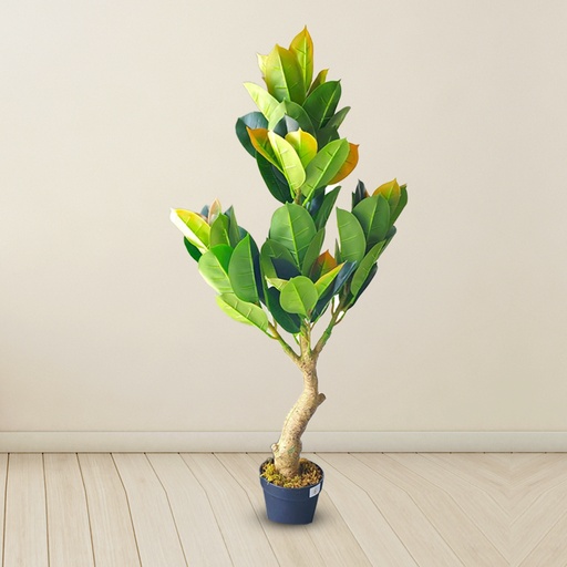 [8051] Artificial Oak Plant Tree For Home Decoration For Indoors & Outdoors Use