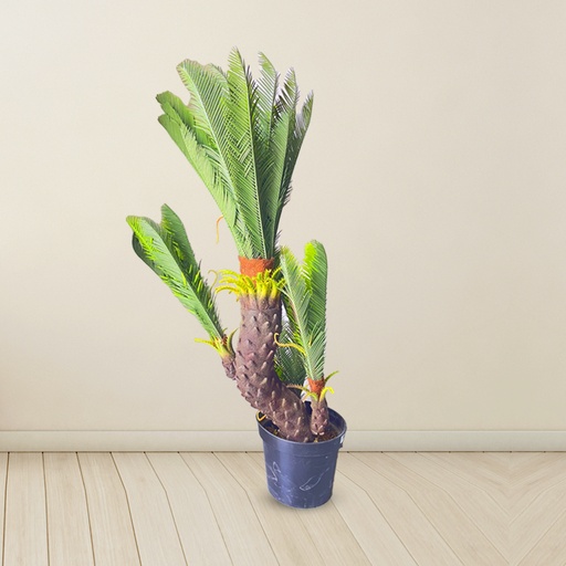 [8053] Artificial | Cycas |  Plant Tree For Home Decoration For Indoors & Outdoors Use