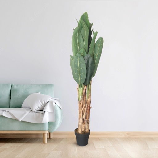 [8636] Hand-Made Ficus Audrey Artificial Decoration Plant For Home & Office Decoration | LJ2067 (L) - RA6635 (M) -  MK1212 (S) |