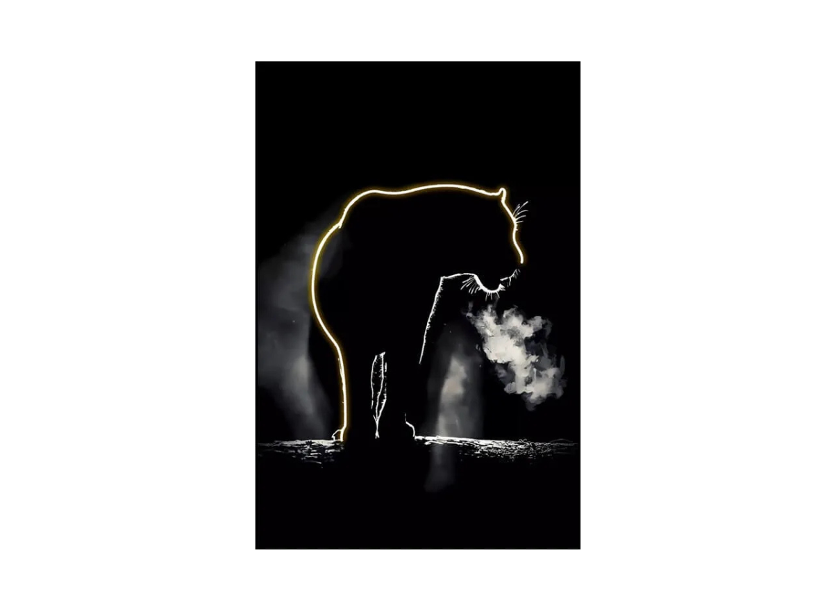 Wall Artwork Decoration Lion Design with LED - (80xx120cm)