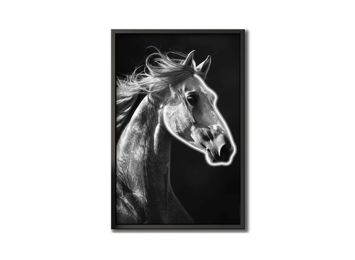 Wall Artwork Decoration Horse Design with LED - (80xx120cm)